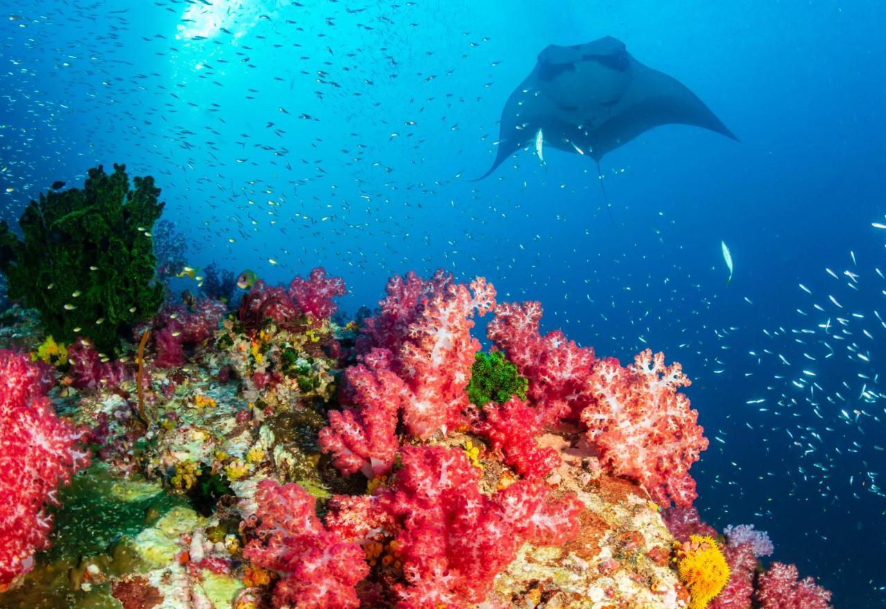 Ayana Komodo Waecicu Beach Ξενοδοχείο Labuan Bajo Εξωτερικό φωτογραφία