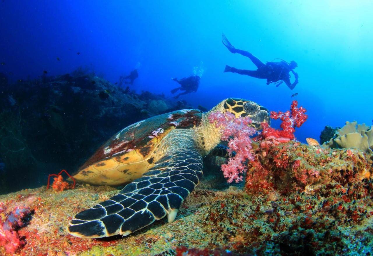 Ayana Komodo Waecicu Beach Ξενοδοχείο Labuan Bajo Εξωτερικό φωτογραφία